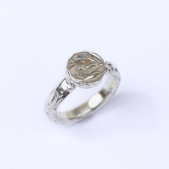 Figure Ring